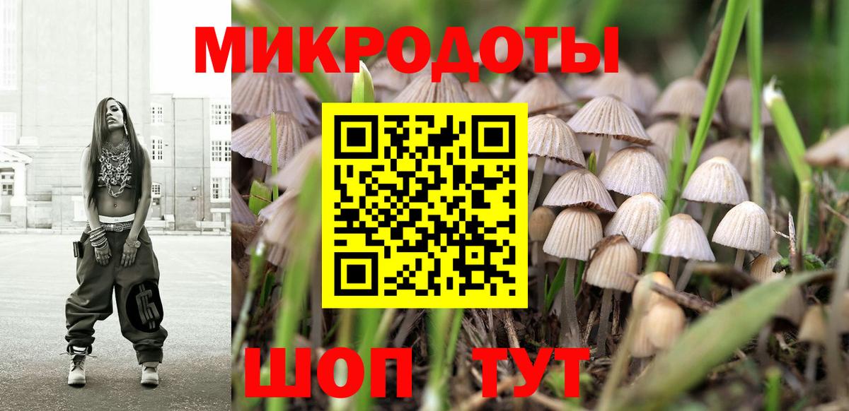 Галлюциногенные грибы прущие грибы Таганрог